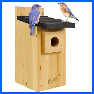 Cedar Wood Blue Bird Box - Safeguard for Young Birds with Innovative Design