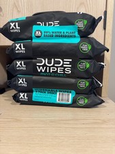 DUDE Wipes Flushable Wipes, XL Wet Wipes for at Home Use, Mint Chill, 48 Count,