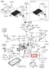 Genuine/OEM 282464X102 HOSE-OIL OUTLET for Hyundai Terracan