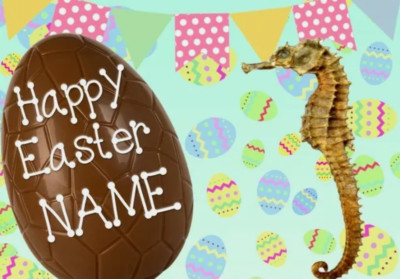 Personalisierte Grußkarte Seepferdchen Frohe Ostern A5 Schokoladenei EE162