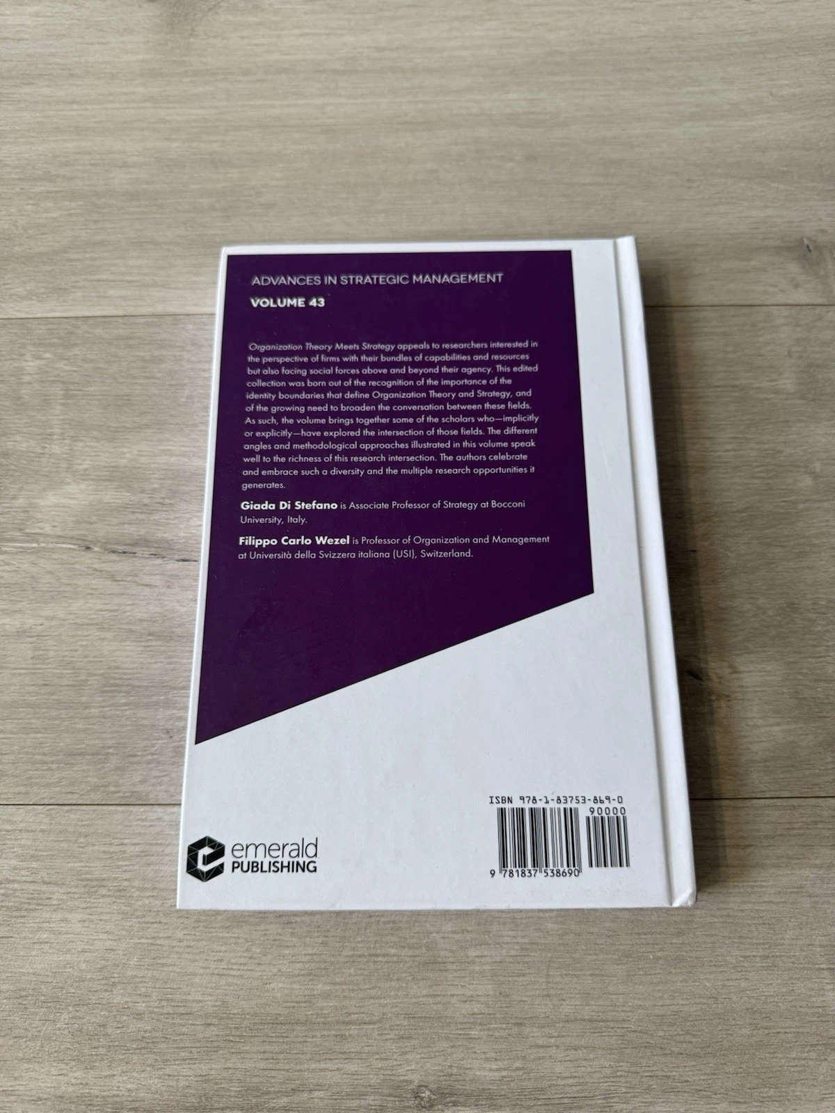 Organization Theory Meets Strategy by Giada Di Stefano 9781837538690 5