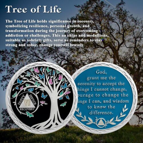 6 anni Sobriety Coin Tree of Life Sobriety Chip AA Sober Token per Donna Uomo - Foto 1 di 6