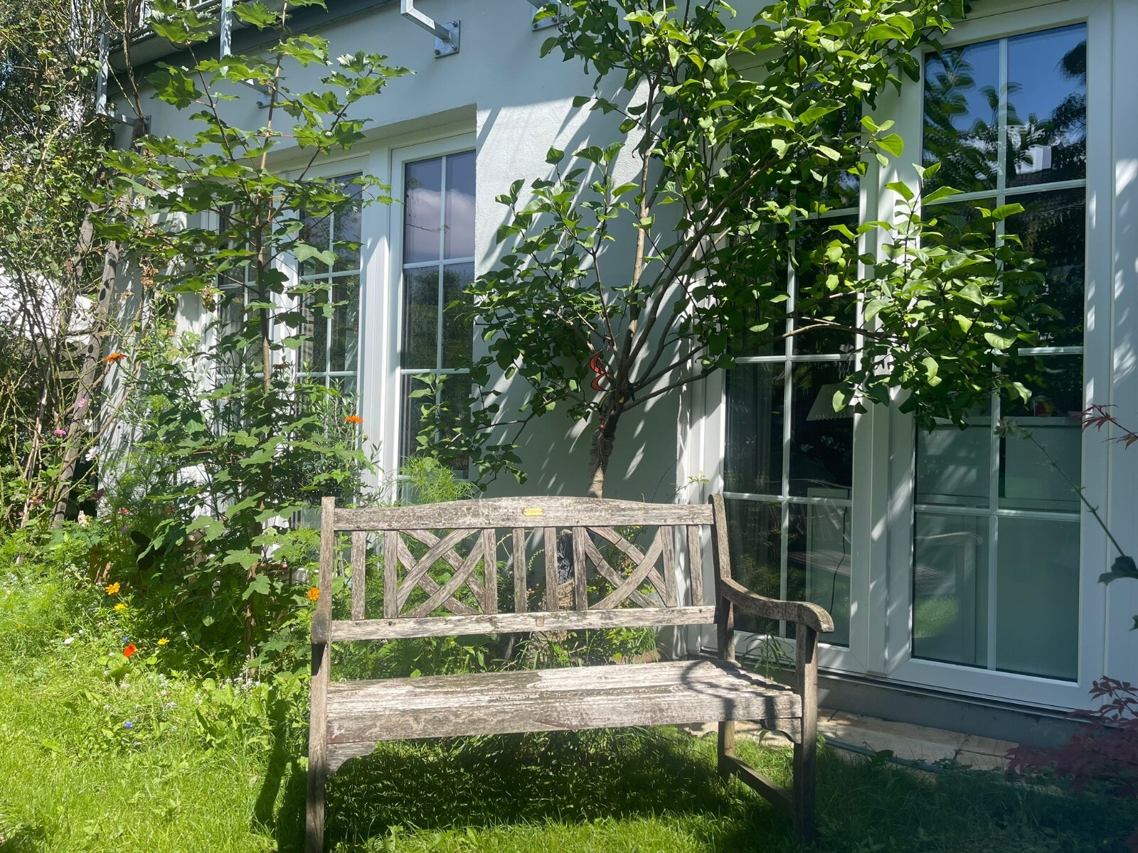 Bild 1 von 24
