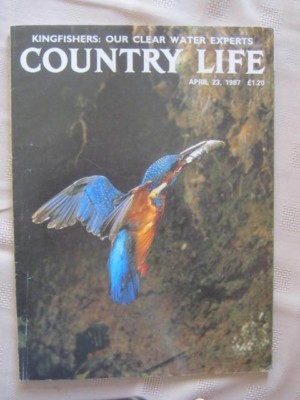 COUNTRY LIFE - APRIL 23 1987 - ABBEY DORE COURT GARDENS