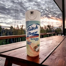 Bitch Please Spray Can 20oz  Insulated Stainless Skinny Sublimation Tumbler