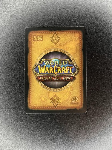 Sarlia 102/252 The Hunt For Illidan World Of Warcraft TCG - Picture 2 of 2