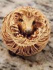 Harmony Kingdom - "Benny" - Hedgehog - Roly Poly - TJRPHE — photo 1