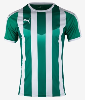 PUMA Men LIGA Stripe Shirts S/S Training Jersey Green Tee Top