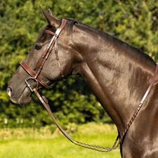 TRUST Copenhagen Field Hunter Bridle Horse Size