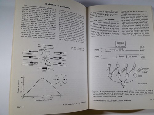 L'Uomo elaboratore di informazioni Introduzione cognitiva alla Psicologia 1983 - Picture 3 of 4