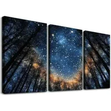 3pcs  Modern Blue Starry Night Forest Tree  Wall Art Canvas Framed 50x70cm