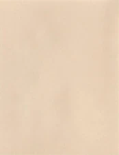 Ledger Size Blank Official NRA Target Paper or Tagboard, [11" x 17"]