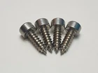 SUN VISOR FIXING SCREWS FORD ESCORT MK1 MK2 RS2000 MEXICO RS1600 RS1800 TWIN CAM