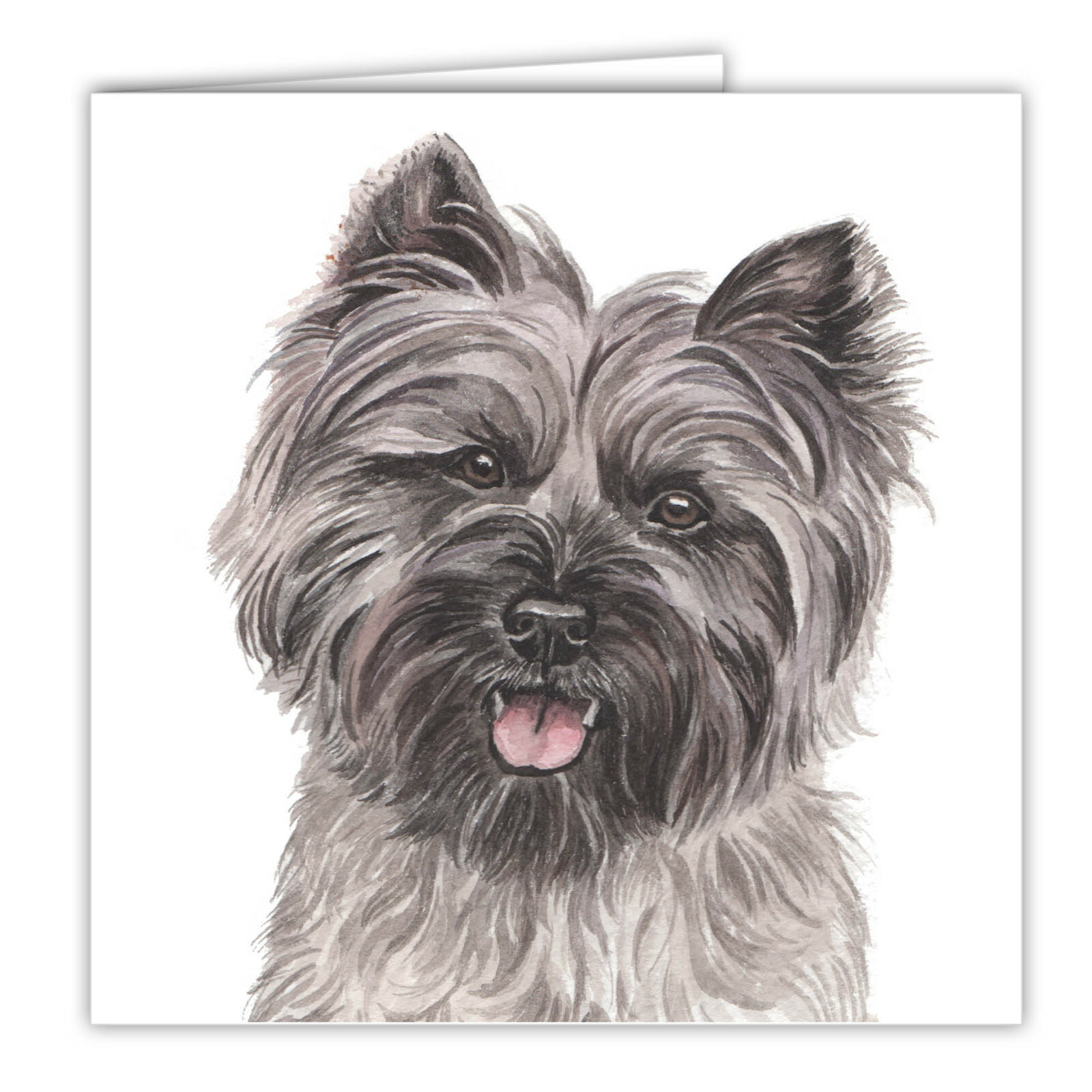 Cairn Terrier greetings card dog blank card dogs Cairn Terriers Cairns WAGGYDOGZ