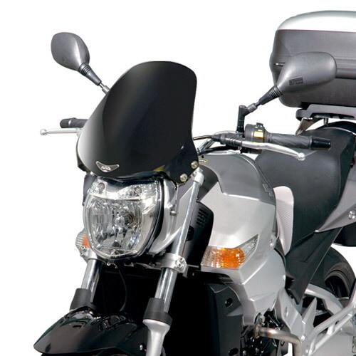 PARABREZZA UNIVERSALE NERO 33,5 x 29 CON ATTACCHI PER YAMAHA MT-03 660 06 > 14
