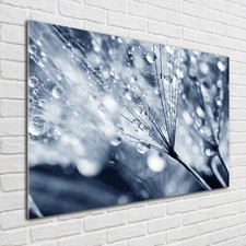Acrylglas-Bild Wandbilder Druck 100x70 Deko Blumen & Pflanzen Pusteblume