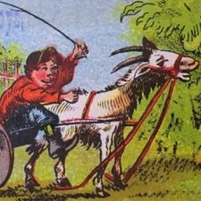 Scarce Carson City Victorian Advertising Trade Card Cagwin & Noteware Jockey