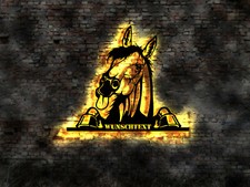 Pferd DVD Dressur Reiten Ponny