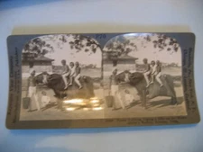 Keystone View Company P70  Hindu Water Carrier Buffalo Bombay Mumbai India 12569