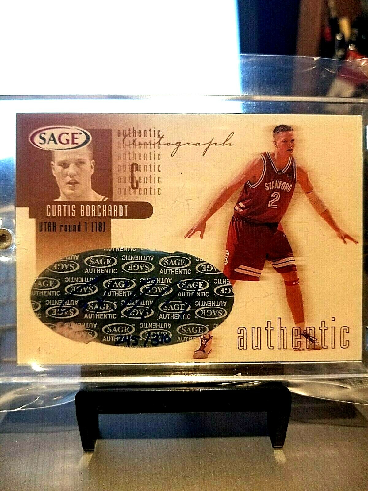 2002 Curtis Borchardt #243/370 Sage Gold A5 Pristine Condition