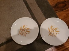 2 Vintage Homer Laughlin Golden Wheat 22k Gold Dinner Plates