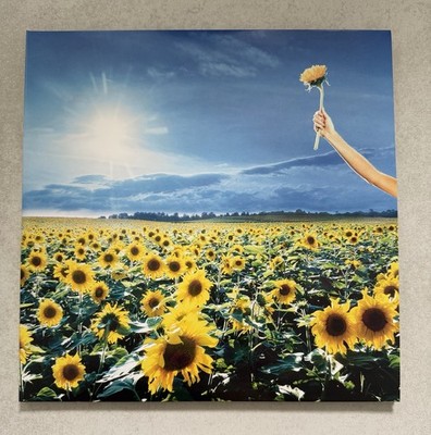 Stone Temple Pilots - Thank You Vinyl 2LP wie NEU 