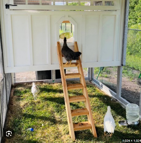 Open Box Activity Center for Chickens Ladder Swing Combo Unassembled Gray LG4159