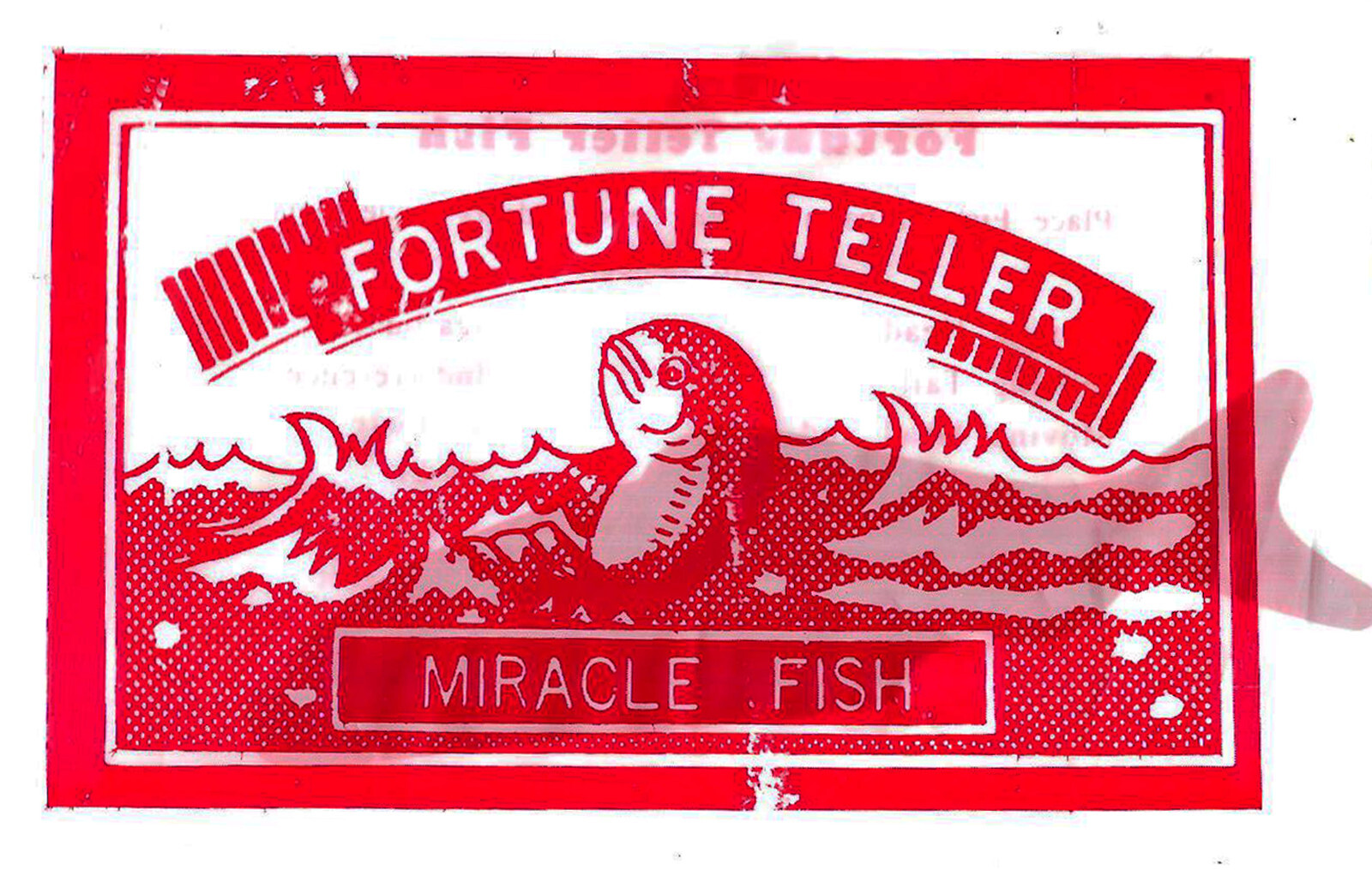 FORTUNE TELLER MIRACLE FISH REMOVABLE RED SHEER FISH PLASTIC eBay