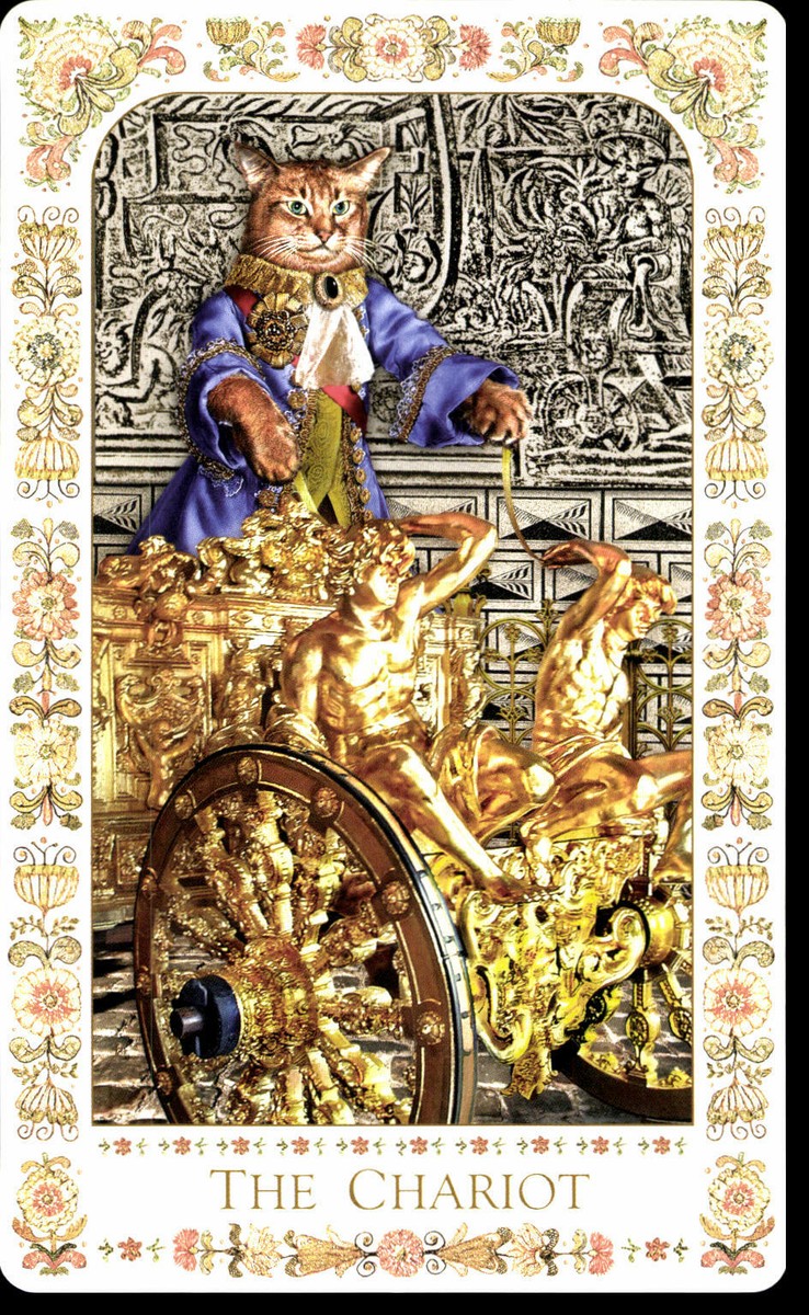 Tarot Collection The Baroque Bohemian Cat ´S - Alex Ukolov And