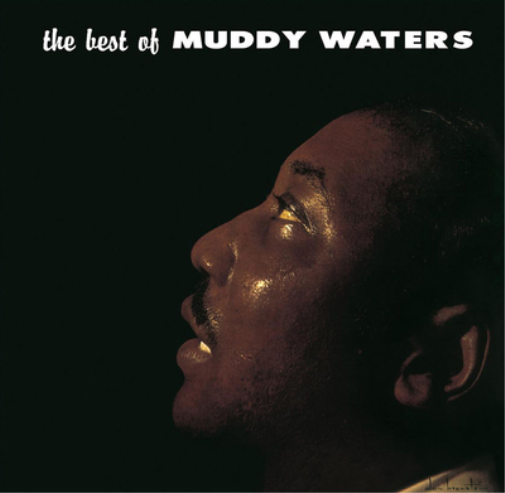 Muddy Waters The Best of Muddy Waters (Vinyl LP)