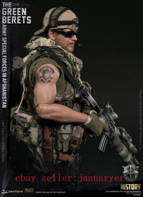Perfect Damtoys 1/6 78057 The Green Berets Army Special Forces In