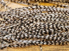 Full or Half Set Sized MEDIUM DUN GRIZZLY Dry Fly Rooster Saddle Feathers