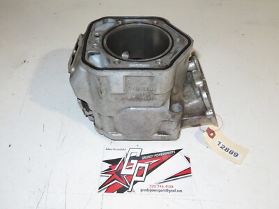 Ski-Doo - 2002 MXZ X 800 - Cylinder Core - 420923817