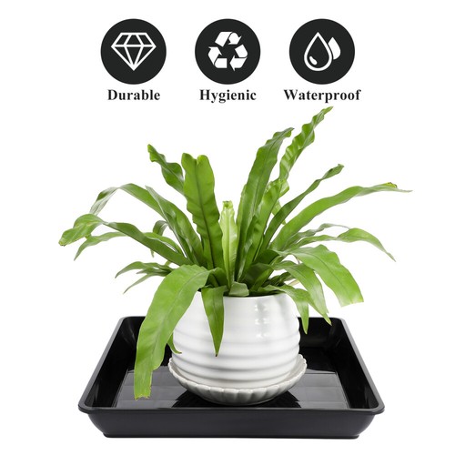 2Pcs Plant Saucer Plastic Plant Pot Tray Rectangle Plant Drip Tray