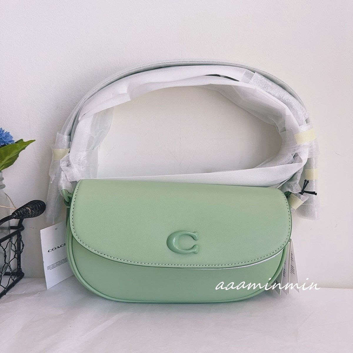 NWT Coach Emmy Saddle Bag 23 CR666 Silver/Pale Pistachio UK