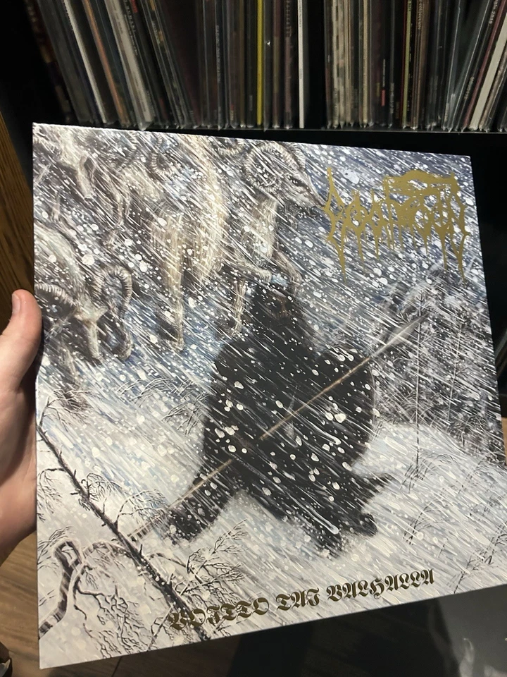 Goatmoon – Voitto Tai Valhalla LP 2019 [Gold] Vinyl GBK Horna Peste Noire NSBM - Image 2 of 4