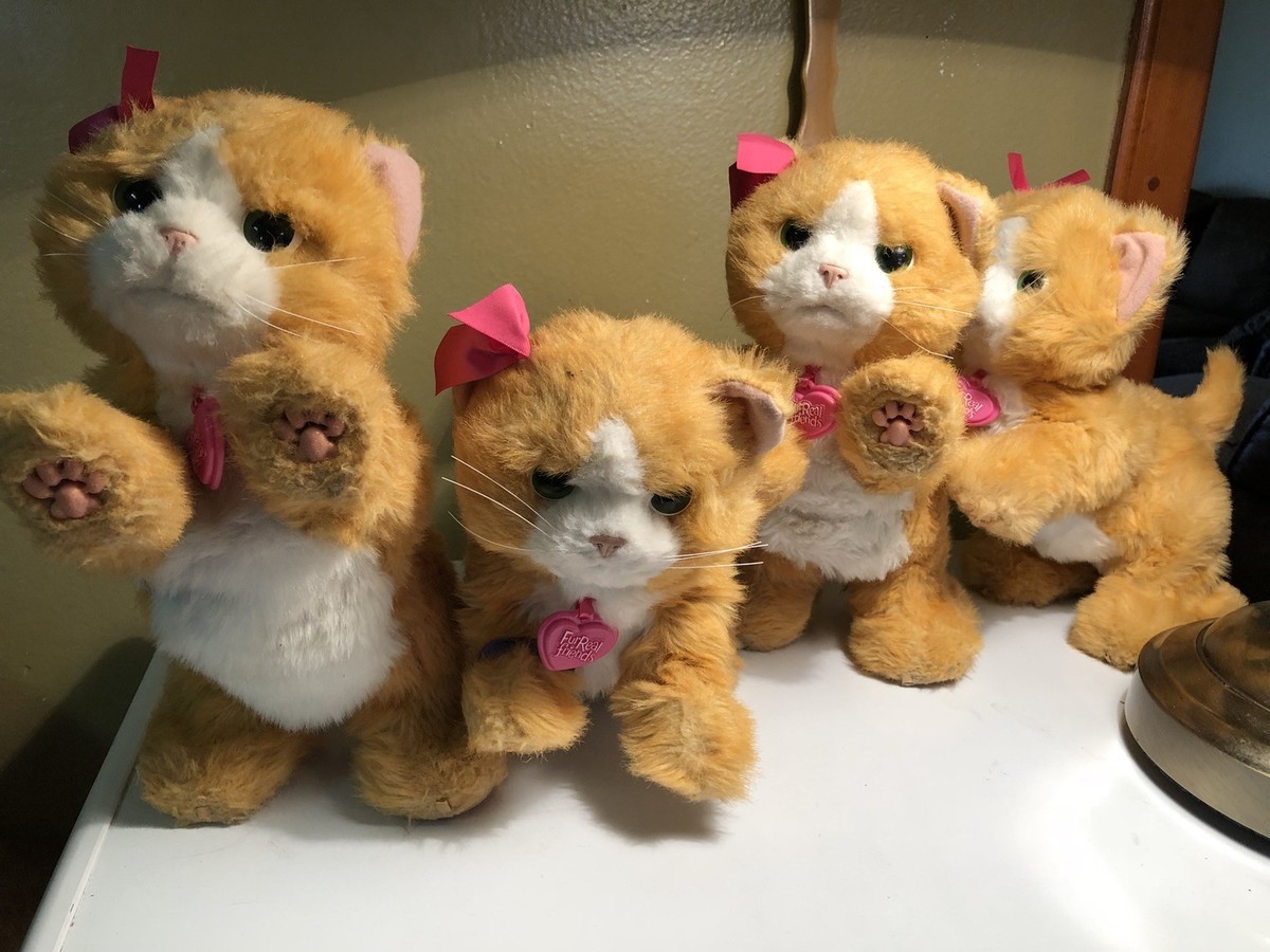 FurReal Friends Interactiva Orange Kitty Cat Playful Realistic - Main Image