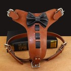Bow Leather Real Dogs Duty Dog Harness for Boxer Heavy Pitbull w/ Large Mastiff