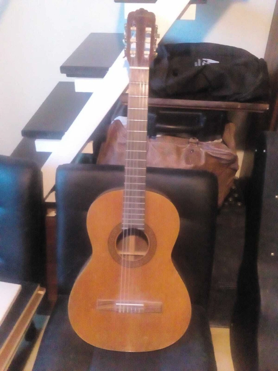 Landola on sale guitar ebay