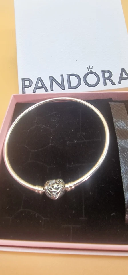 Pandora Silber-Armband – Neu & Originalverpackt (21 cm Umfang / Ø 7 cm) - Bild 3 von 4