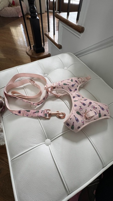 PUPPY XS DOGGY HARNESS AND LEACH