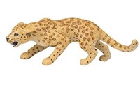 Safari 2715-29 - Leopard
