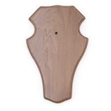 1 Pezzo Di Trofeo Di Cervo Stumpf Grande Marrone AF 21 X 13 Cm