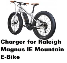 🔥Replacement charger for Raleigh Magnus IE mountain 2017 E-Bike