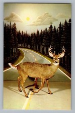 Gaylord Michigan MI Call Of The Wild Museum Deer In Road Postcard 1960s