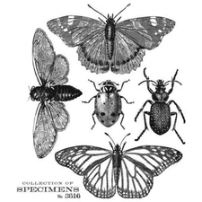 Tim Holtz Stampers Anonymous "SPECIMEN" Rubber Cling Stamp Set 2020