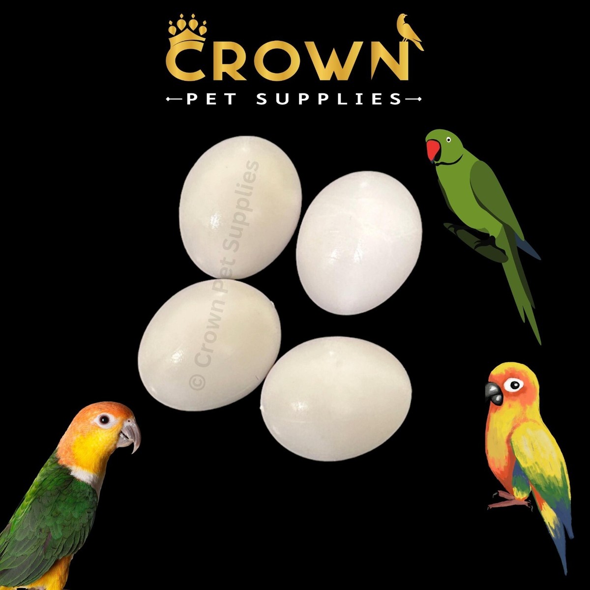 Eggs Pregnant Parakeet CONURES FAKE EGGS Solid Plastic FOR INDIAN