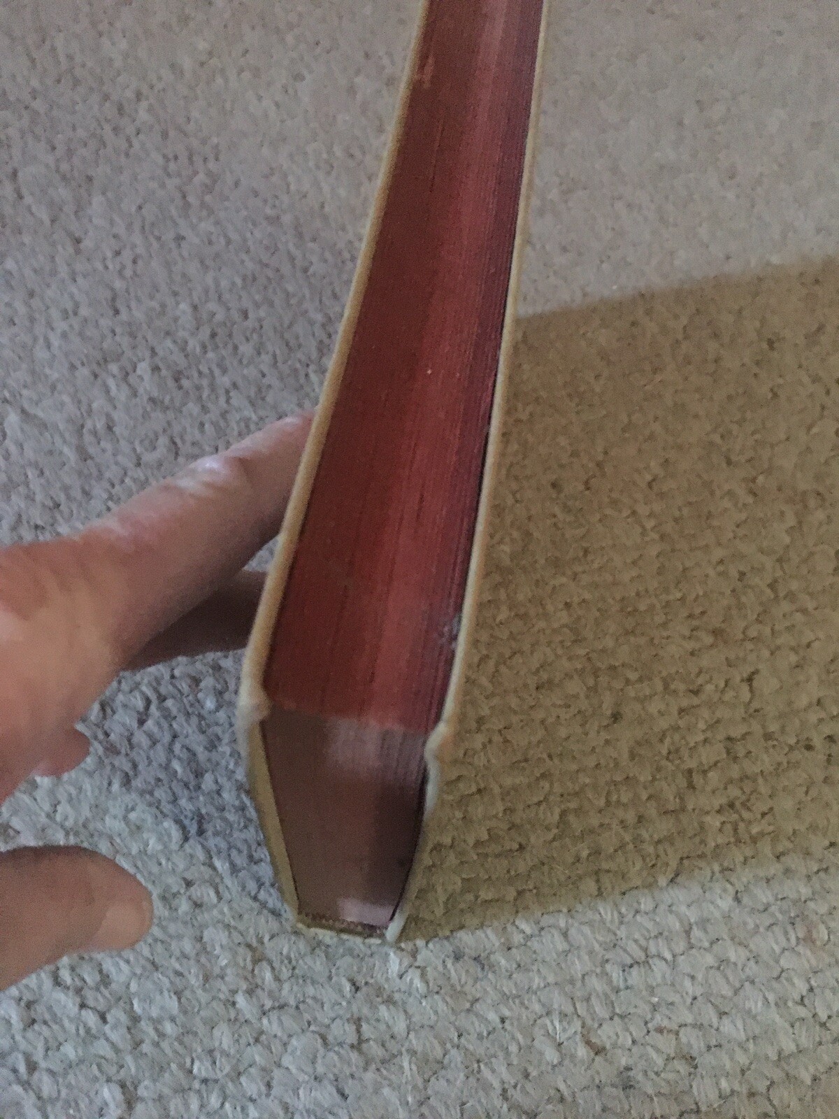 Picture 4 of 12