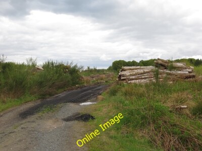 Photo 6x4 Whaupers Knowe Plantation Holmhill Log piles at the exit of a l c2013