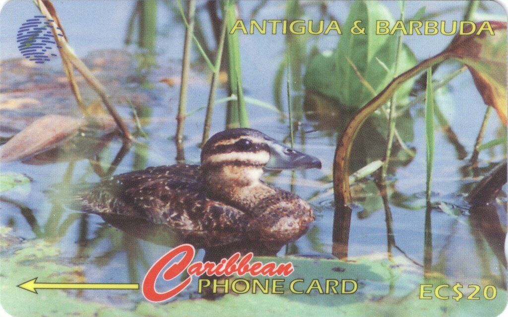 Antigua and Barbuda Caribbean 1996 Masked Duck (Oxyura dominica) 104CATD 20 EC$ 